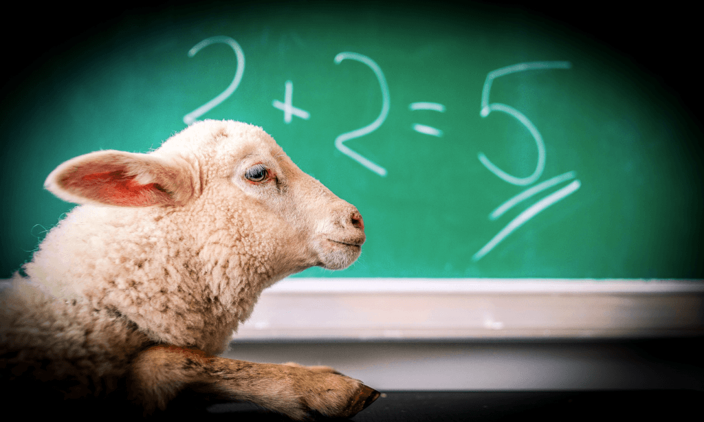 #15: Comfort Foods & Teachers' Pay