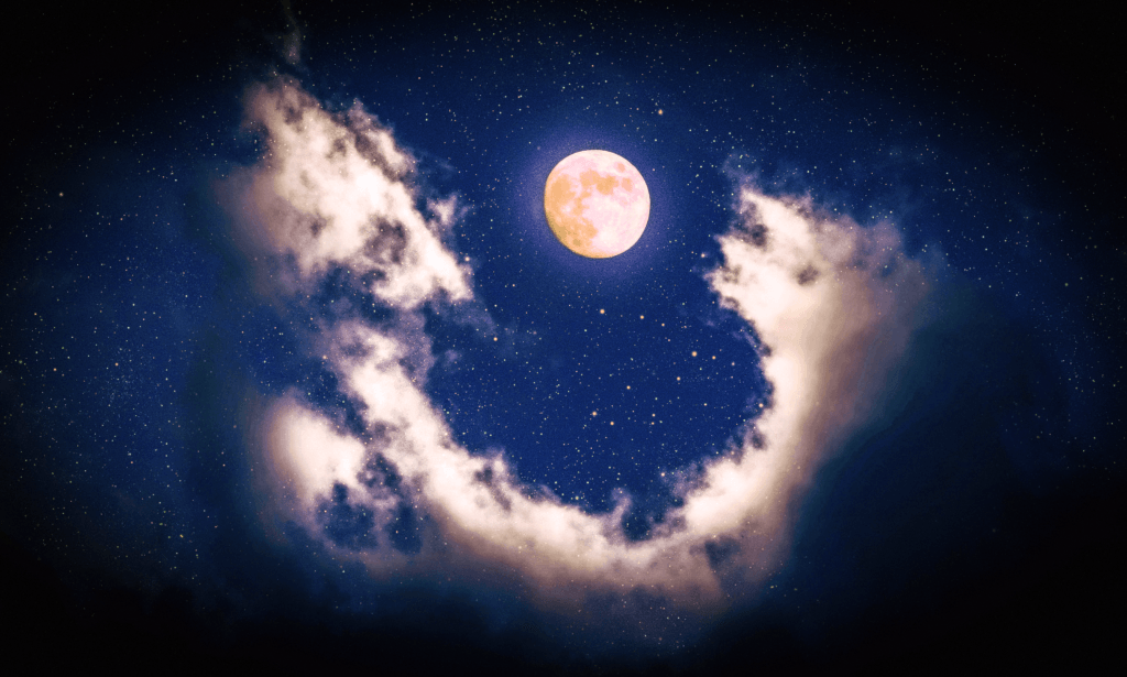 #35: Business Insights & The Moon